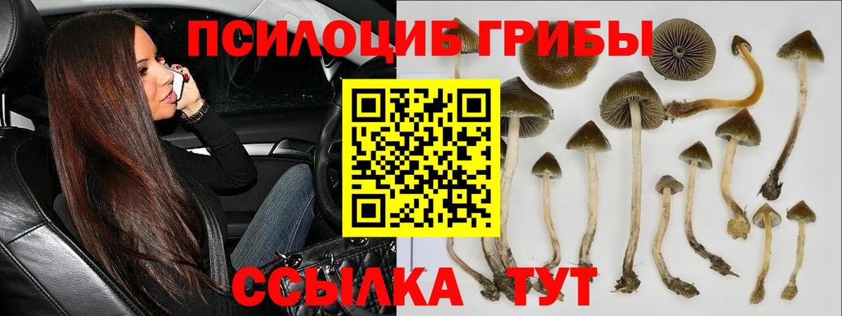 Ростов Великий  Галлюциногенные грибы мухоморы  Вход с VPN 