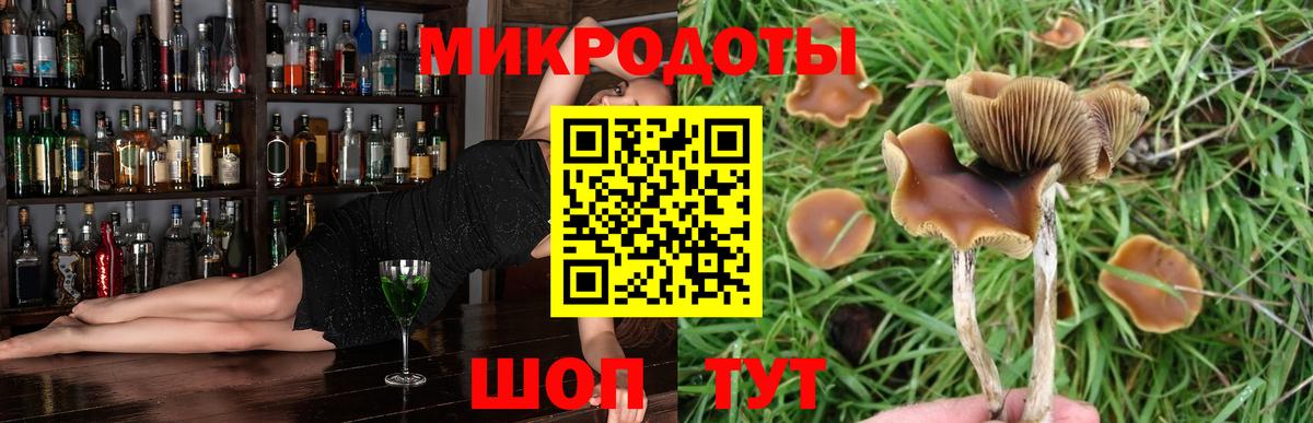 Галлюциногенные грибы мухоморы Ростов Великий